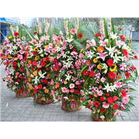 七星关婚庆鲜花 