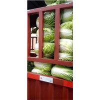 肥城蔬菜代办_订单种植 