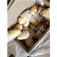 山东蔬菜代办_定期抽检 