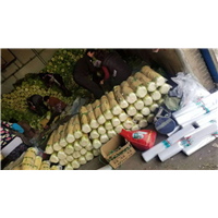 泰安蔬菜代办_供应商场超市 