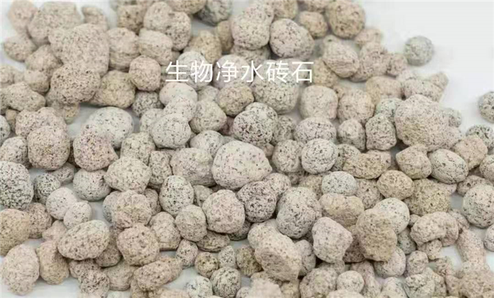 生物净水石|北京生物净水石 