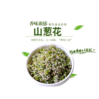 山葱花别名细叶葱