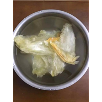 深圳盐田回收鱼翅