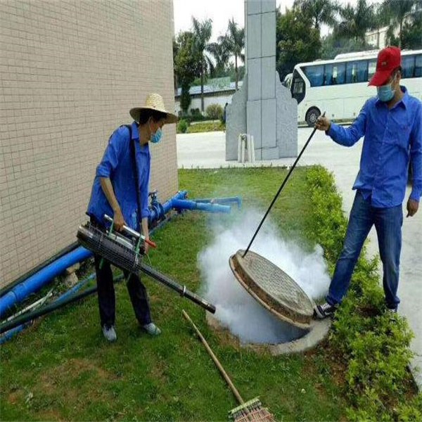 遂宁灭白蚁