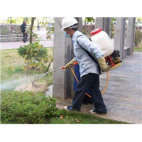 郴州白蚁防治