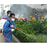 郴州灭四害