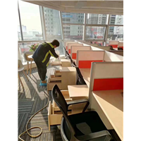 伊宁奥因除甲醛