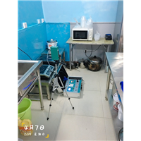 东西湖区金银潭永旺-除甲醛