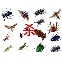 吉首除四害