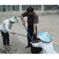 湘西灭鼠公司