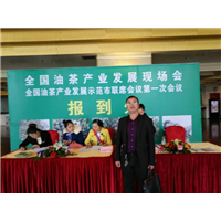 江西正宗湘林1号油茶苗批发