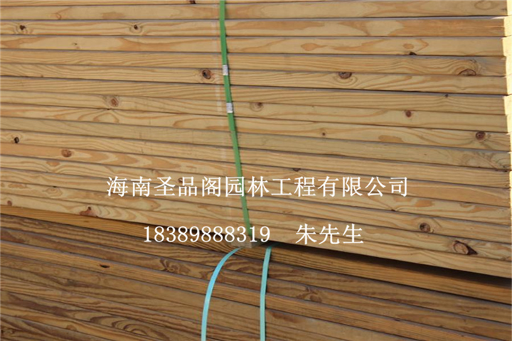 三亚南方松