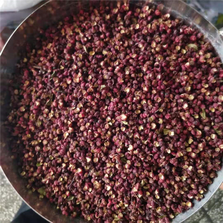 大红袍花椒 