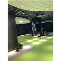健身房系列5