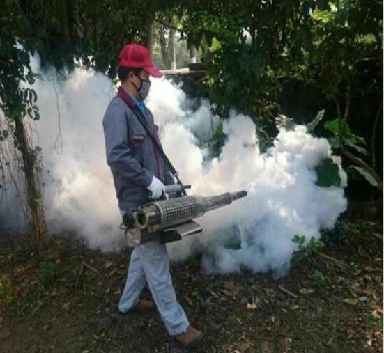 杭州专业灭老鼠 