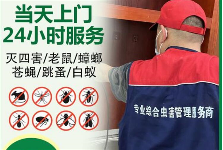郑州灭鼠公司  郑州除四害公司
