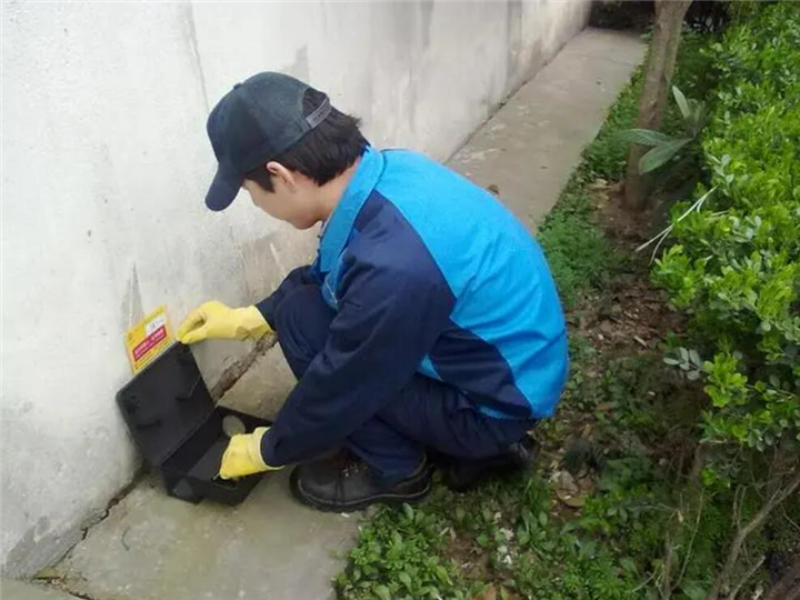 郑州灭鼠公司  郑州除四害公司