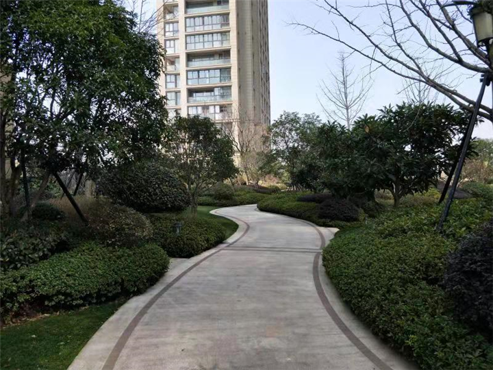 常州新北区园林绿化 