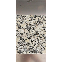 甘肃金秋黄加工生产厂家 