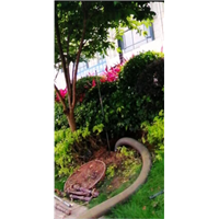 福清花圃养护 