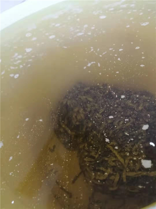 浙江银水回收价格