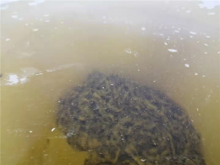 浙江银水回收公司