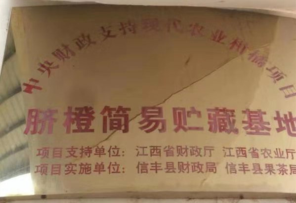 脐橙简易贮藏基地 