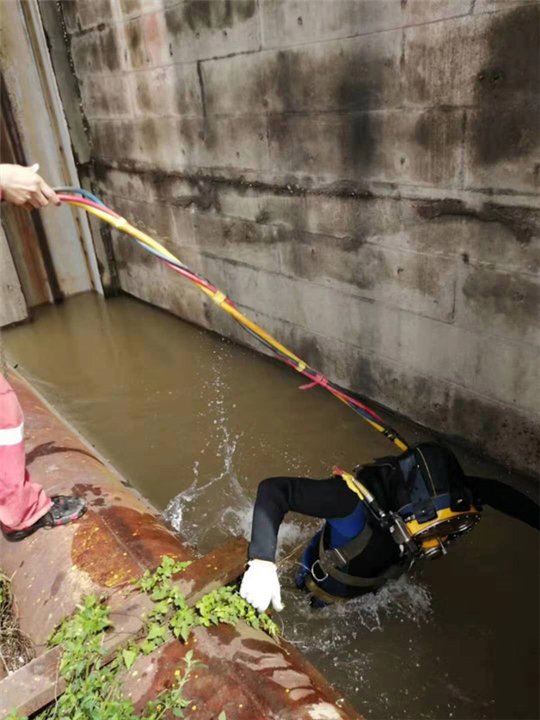 水下检测施工报价 