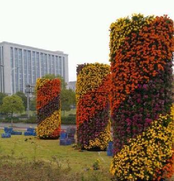 南阳花柱花墙销售
