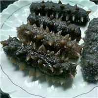 海参价格