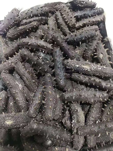海参批发 