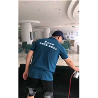 东营除甲醛公司