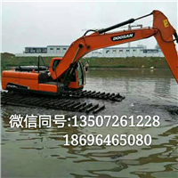 广东水陆挖机出租 