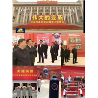 树派大型案例