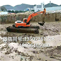 广东广州湿地挖机出租 