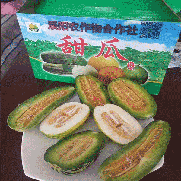 优质甜瓜 