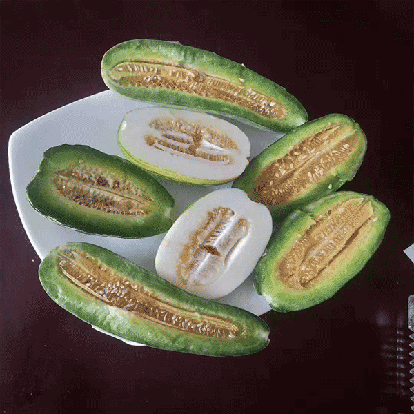 优质甜瓜 