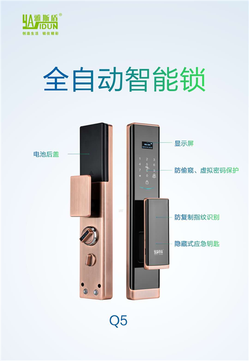 雅斯顿全自动智能锁Q5
