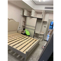 建业森林半岛业主家除甲醛 