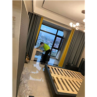 建业森林半岛业主家甲醛治理 