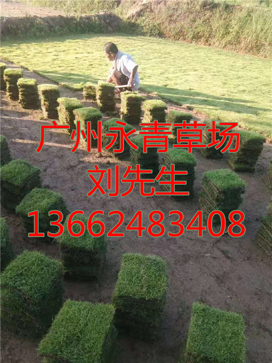 广州兰引三号 