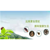 聊城灭白蚁