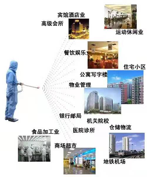 聊城灭白蚁
