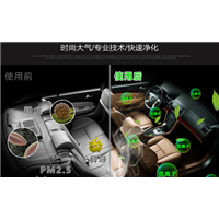 东营车内除甲醛 