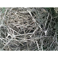 东莞塘厦废旧电子产品都是哪儿了？