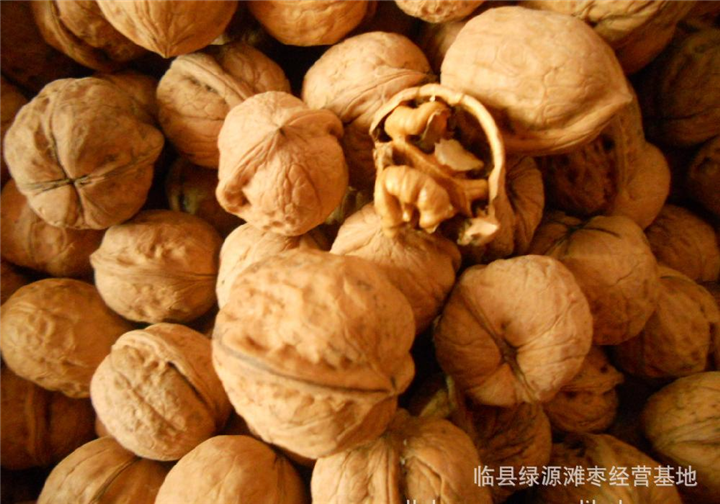 邵阳核桃批发市场在哪里
