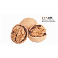 邵阳核桃批发