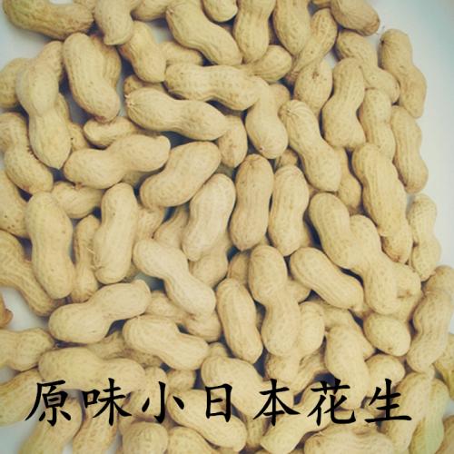 邵阳花生