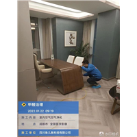 成都除甲醛