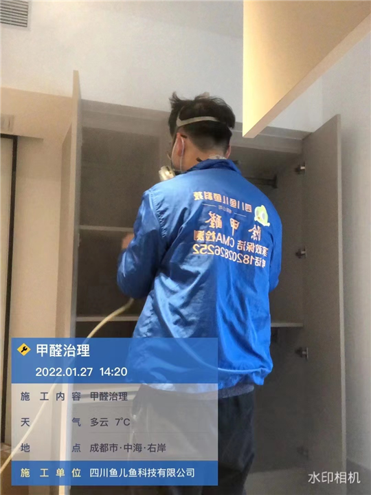 成都除甲醛